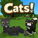 Alec's Cats!
