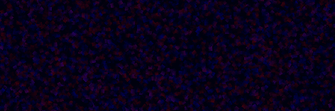 Endode Banner
