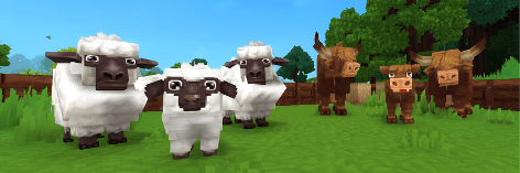 Project Banner