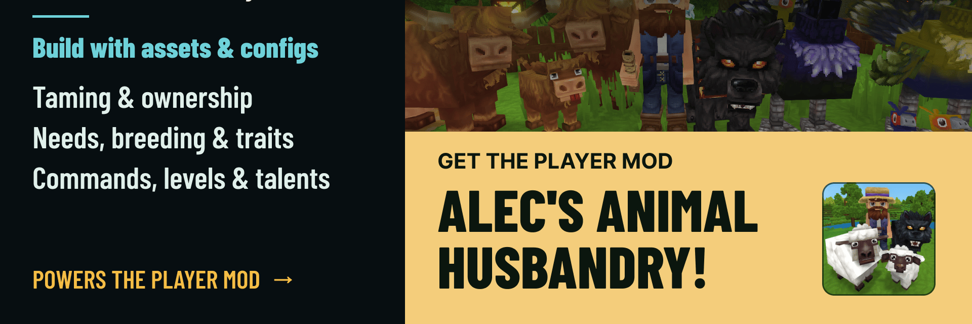 Project Banner