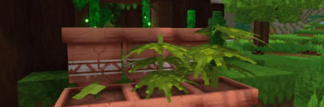 Project Banner
