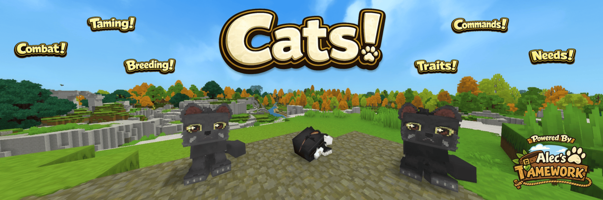 Project Banner