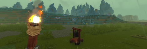 Project Banner