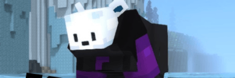 Project Banner