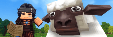 Project Banner